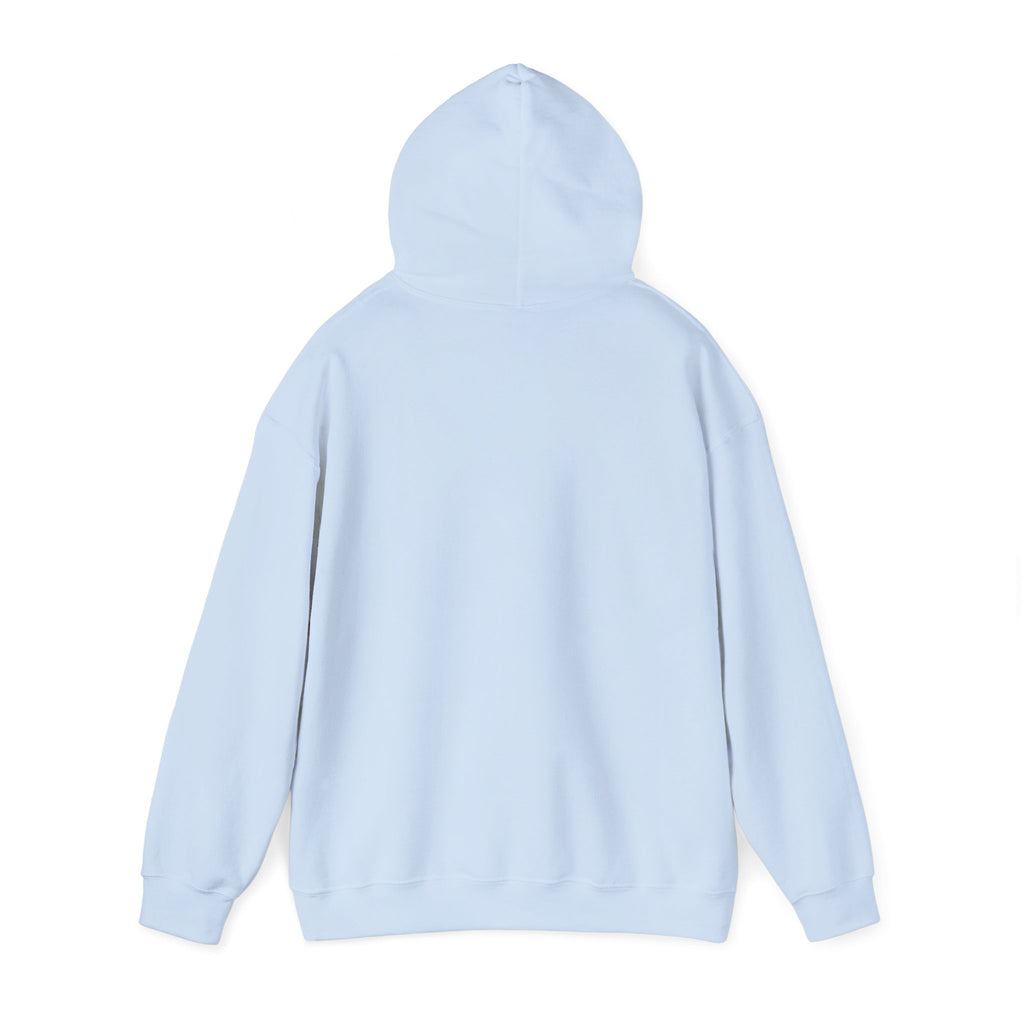 Video Vixen Hoodie