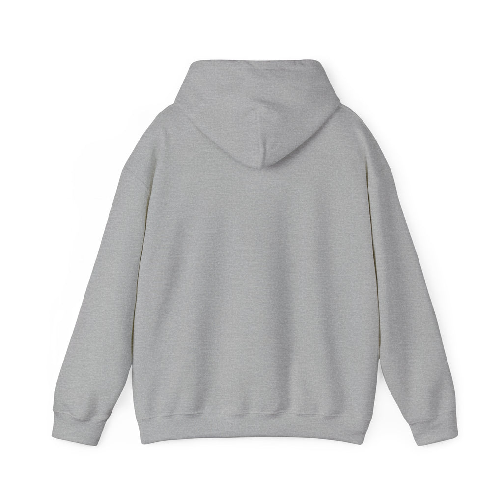 Flight Risk Hoodie