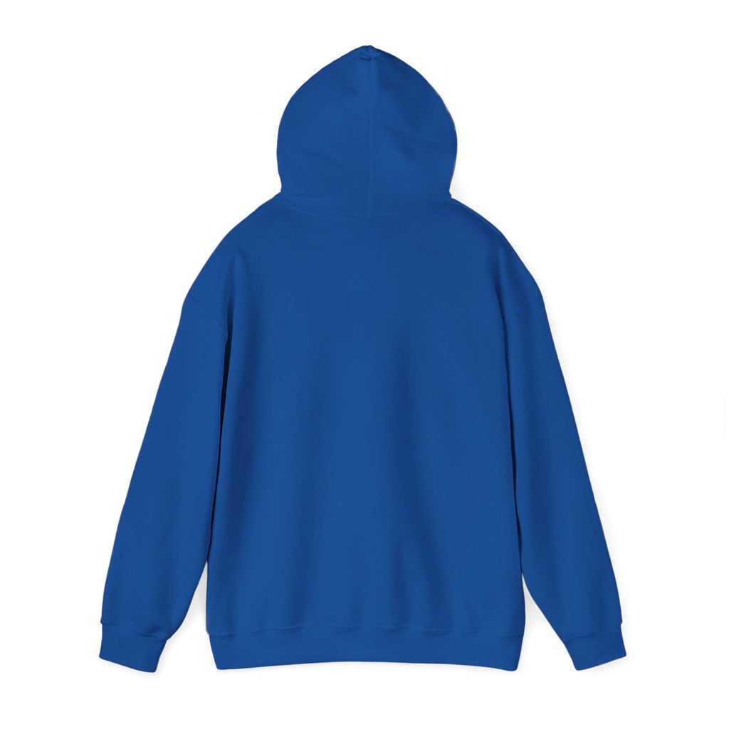 Flight Risk Hoodie