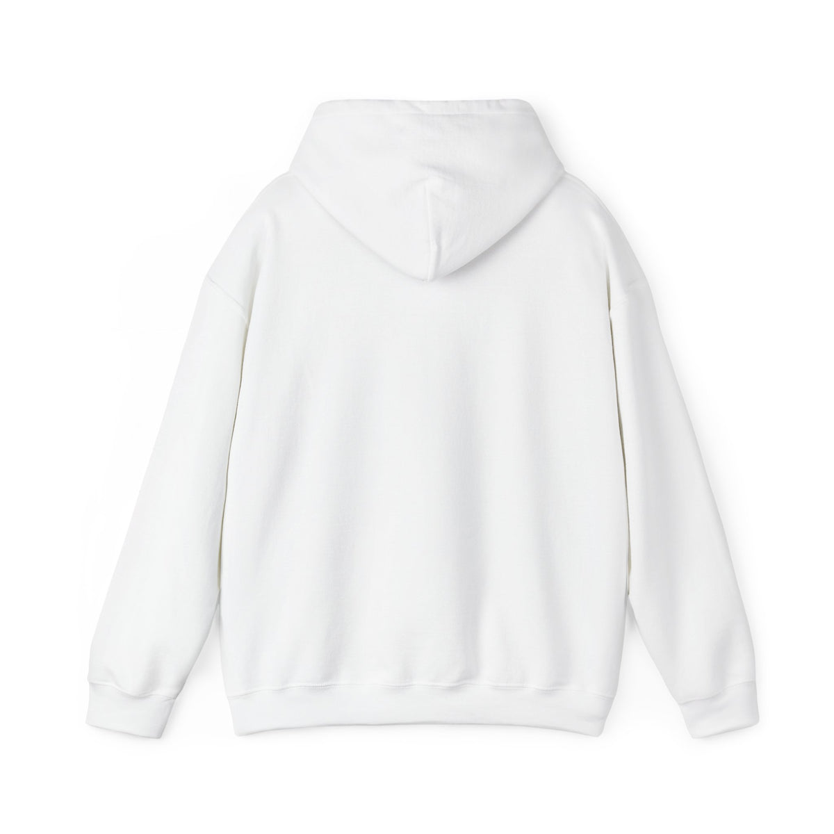College Dropout Hoodie