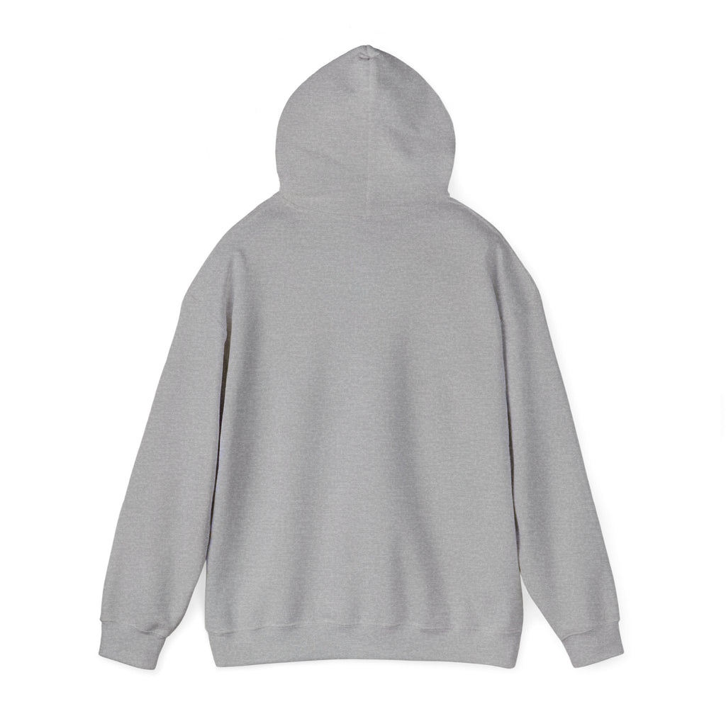 College Dropout Hoodie